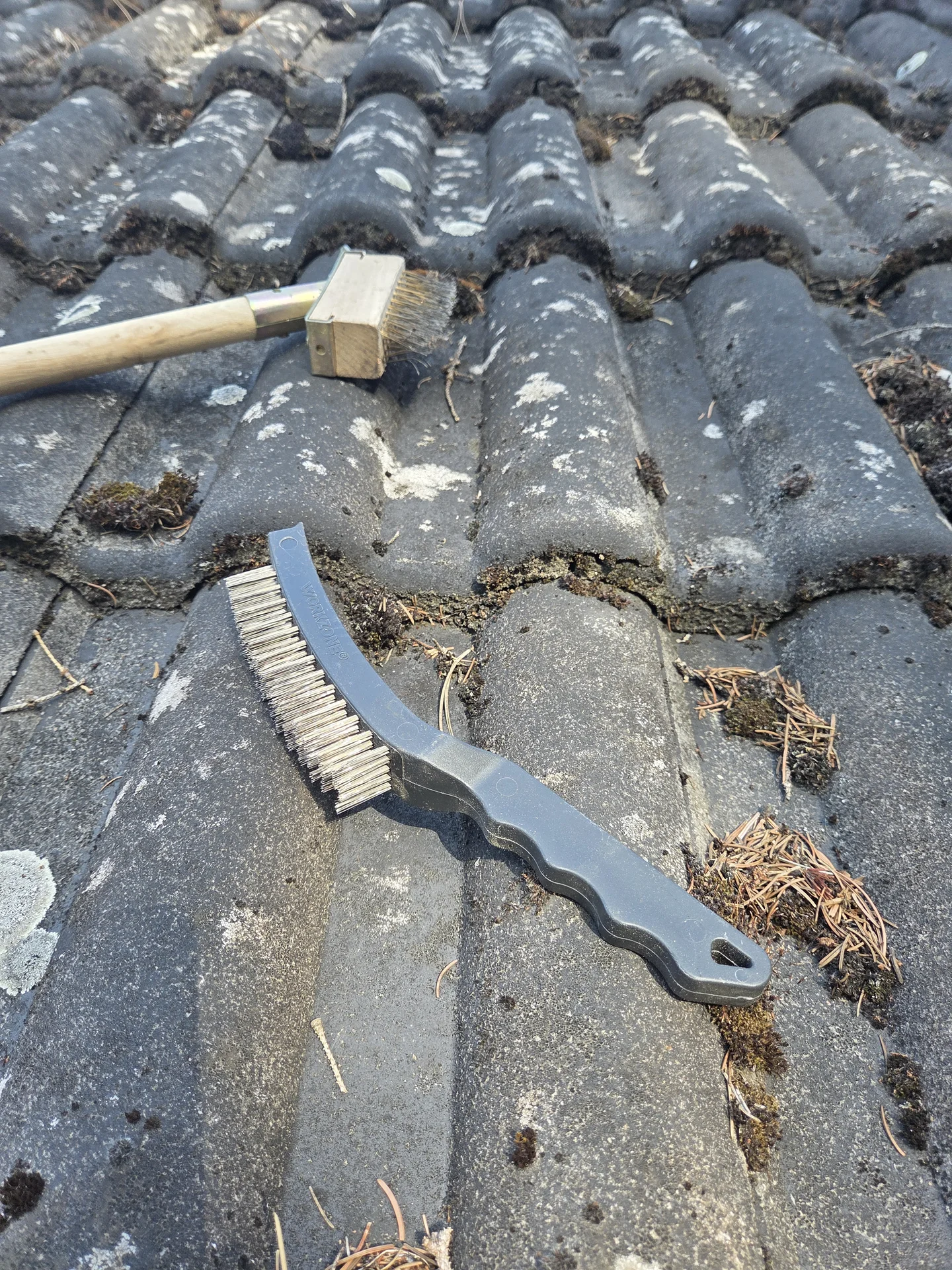 Stark bemooste Betondachsteine, darauf zwei Handbürsten zur Moosentfernung